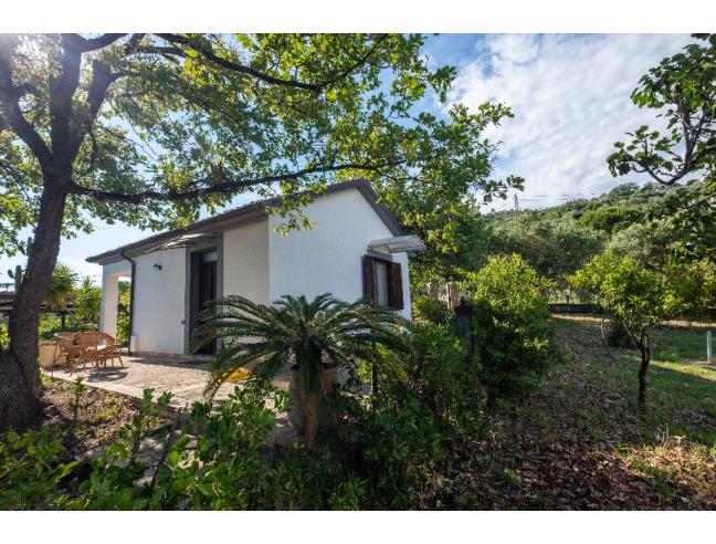 Anteprima foto 4 - Affitto Villa Vacanze da Privato a Casal Velino - Marina Di Casal Velino