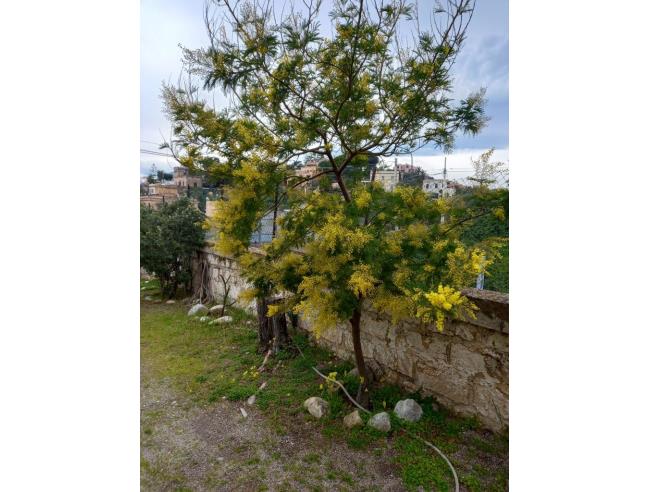 Anteprima foto 7 - Affitto Villa Vacanze da Privato a Casteldaccia (Palermo)