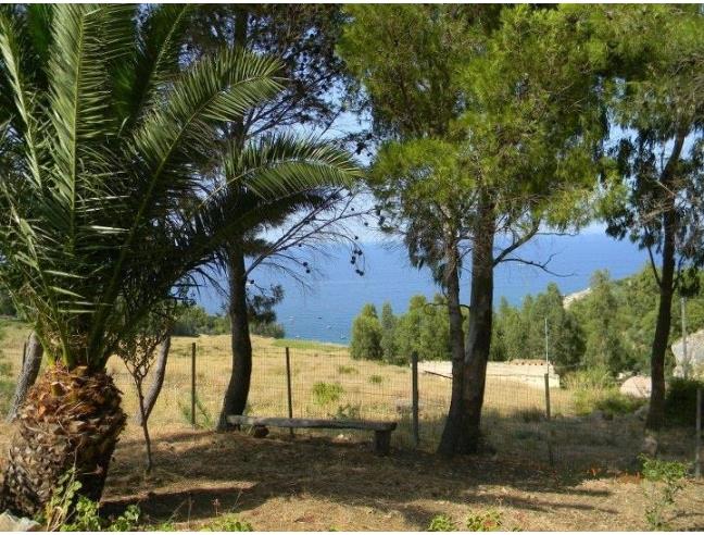 Anteprima foto 7 - Affitto Villa Vacanze da Privato a Castellammare del Golfo - Scopello