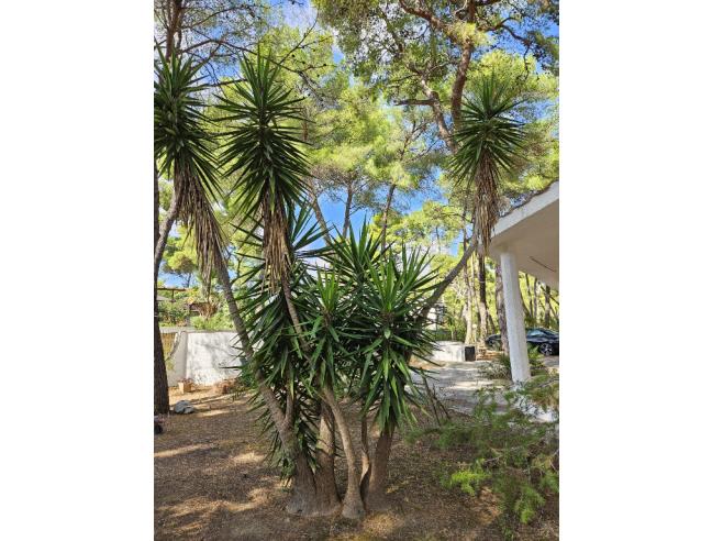 Anteprima foto 2 - Affitto Villa Vacanze da Privato a Castellaneta - Castellaneta Marina