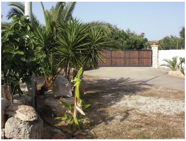 Anteprima foto 7 - Affitto Villa Vacanze da Privato a Castrignano del Capo - Leuca