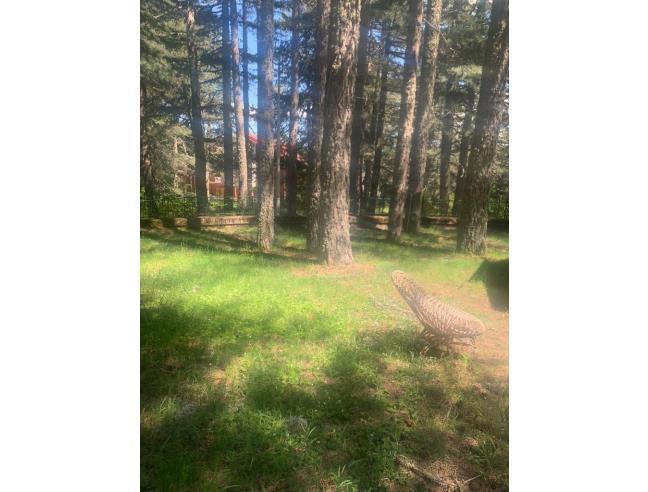 Anteprima foto 7 - Affitto Villa Vacanze da Privato a Celico - Fago Del Soldato