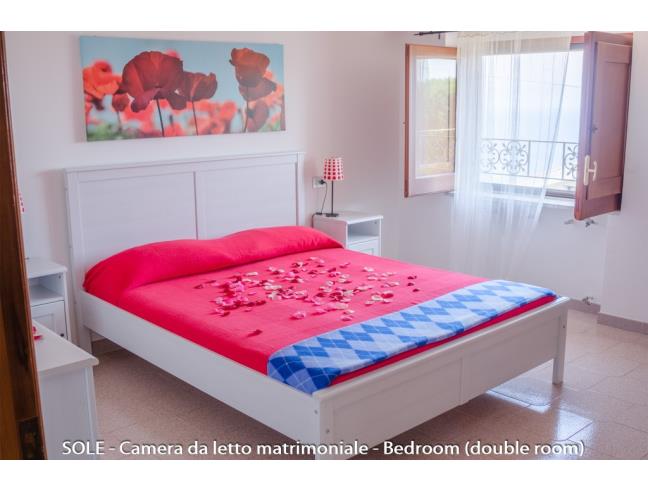 Anteprima foto 6 - Affitto Villa Vacanze da Privato a Centola - Palinuro