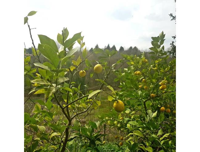 Anteprima foto 8 - Affitto Villa Vacanze da Privato a Cinaglio (Asti)