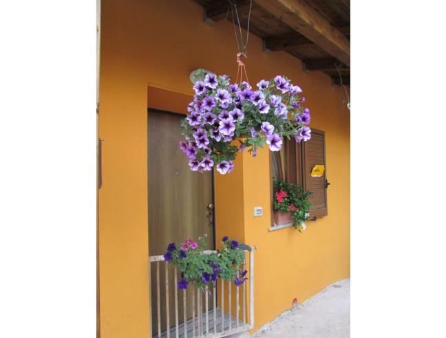 Anteprima foto 2 - Affitto Villa Vacanze da Privato a Drapia (Vibo Valentia)