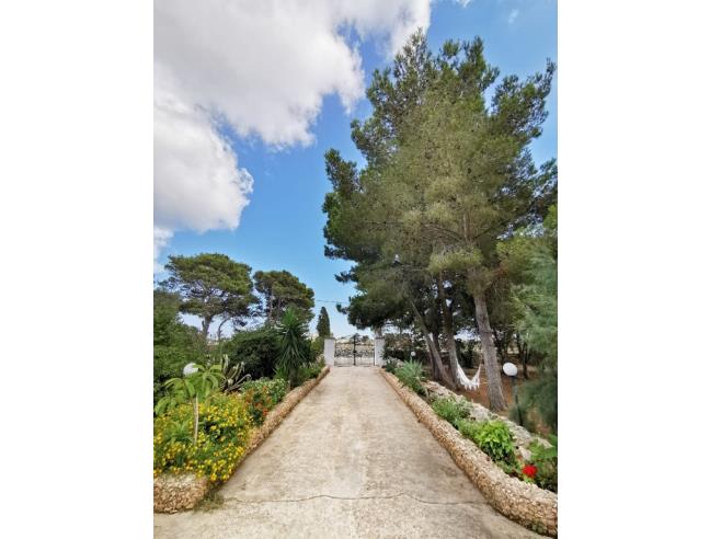 Anteprima foto 7 - Affitto Villa Vacanze da Privato a Favignana (Trapani)