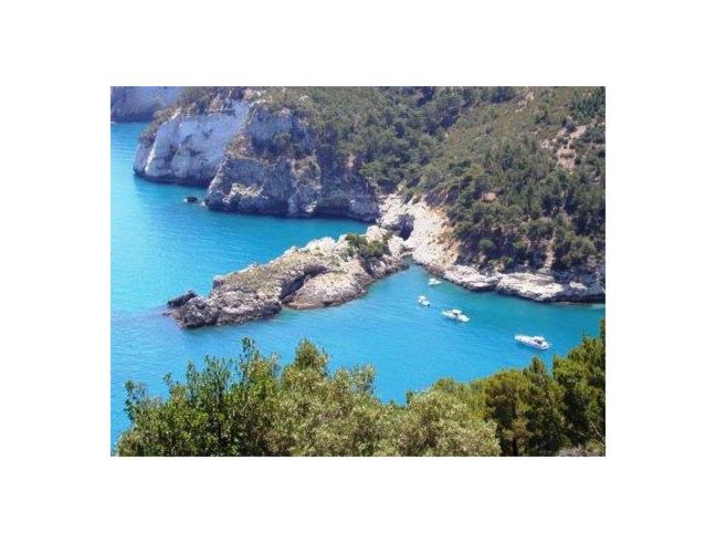 Anteprima foto 2 - Affitto Villa Vacanze da Privato a Foggia (Foggia)