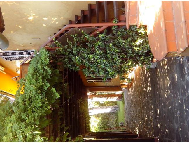 Anteprima foto 8 - Affitto Villa Vacanze da Privato a Forte dei Marmi (Lucca)