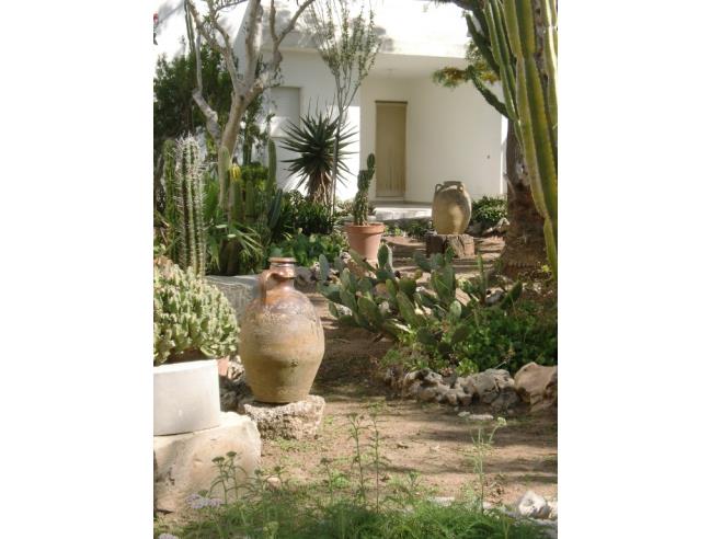 Anteprima foto 2 - Affitto Villa Vacanze da Privato a Gallipoli (Lecce)