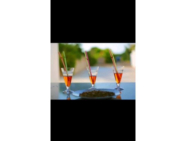 Anteprima foto 4 - Affitto Villa Vacanze da Privato a Gallipoli (Lecce)