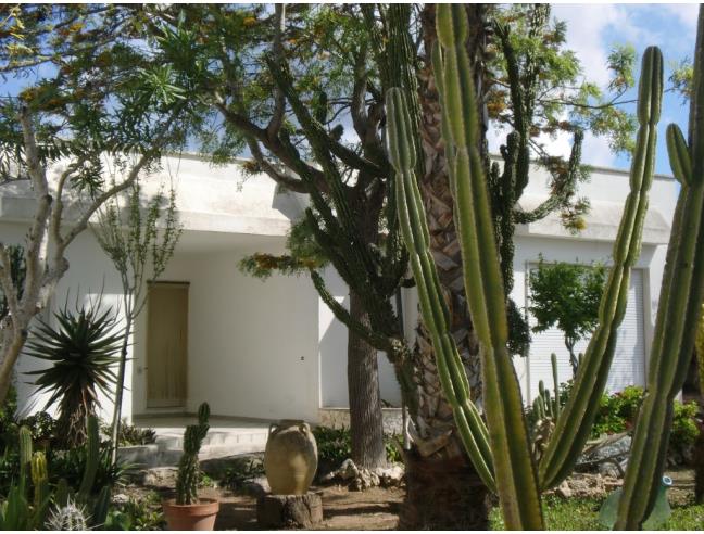 Anteprima foto 4 - Affitto Villa Vacanze da Privato a Gallipoli (Lecce)