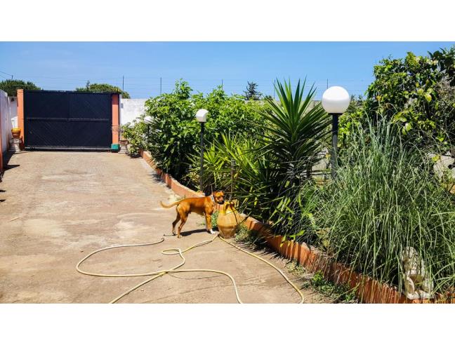 Anteprima foto 4 - Affitto Villa Vacanze da Privato a Gallipoli (Lecce)