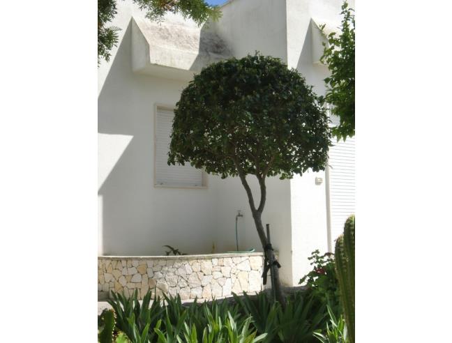 Anteprima foto 5 - Affitto Villa Vacanze da Privato a Gallipoli (Lecce)