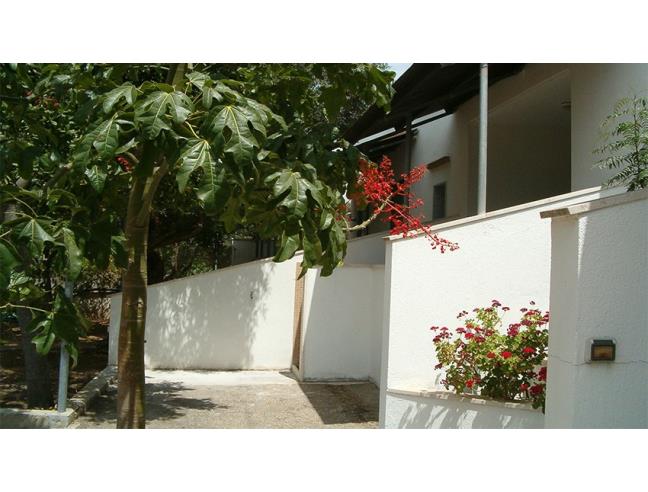 Anteprima foto 6 - Affitto Villa Vacanze da Privato a Gallipoli (Lecce)