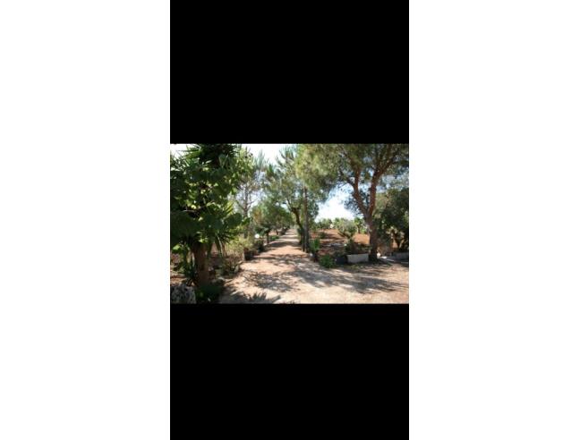 Anteprima foto 7 - Affitto Villa Vacanze da Privato a Gallipoli (Lecce)