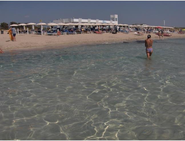 Anteprima foto 8 - Affitto Villa Vacanze da Privato a Gallipoli (Lecce)