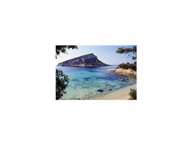 Anteprima foto 7 - Affitto Villa Vacanze da Privato a Golfo Aranci (Sassari)
