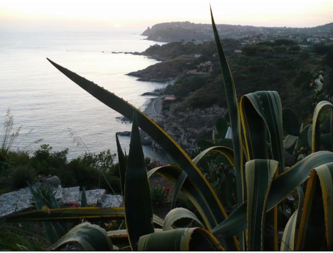 Anteprima foto 2 - Affitto Villa Vacanze da Privato a Joppolo (Vibo Valentia)