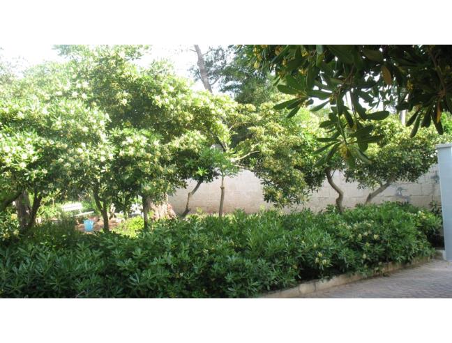 Anteprima foto 2 - Affitto Villa Vacanze da Privato a Manduria - San Pietro