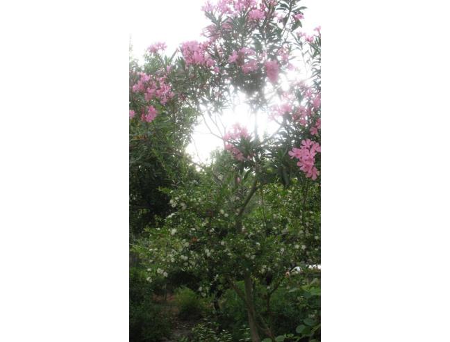 Anteprima foto 3 - Affitto Villa Vacanze da Privato a Manduria - San Pietro