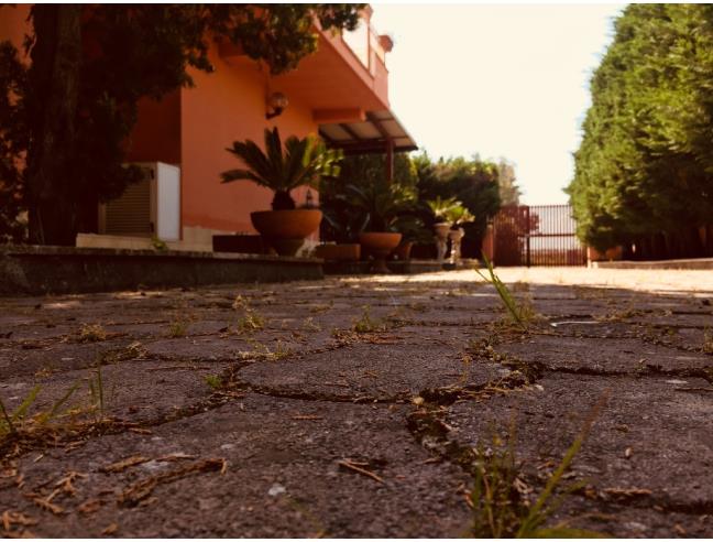 Anteprima foto 8 - Affitto Villa Vacanze da Privato a Manfredonia (Foggia)