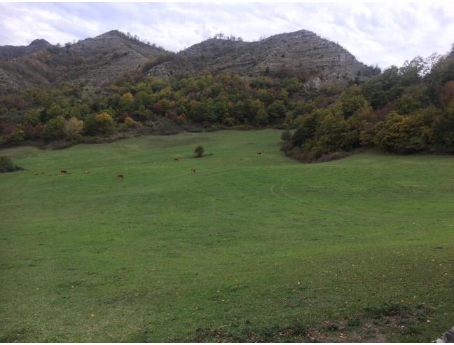 Anteprima foto 7 - Affitto Villa Vacanze da Privato a Marradi (Firenze)