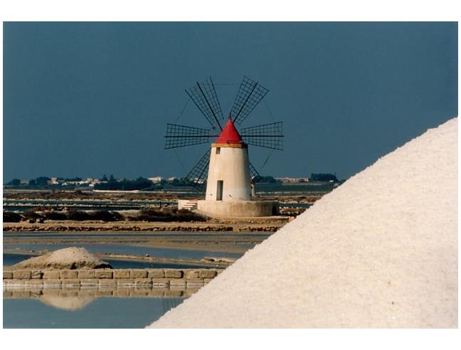 Anteprima foto 4 - Affitto Villa Vacanze da Privato a Marsala (Trapani)