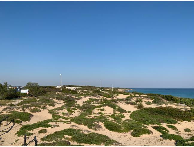 Anteprima foto 4 - Affitto Villa Vacanze da Privato a Maruggio (Taranto)