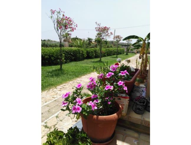 Anteprima foto 6 - Affitto Villa Vacanze da Privato a Mazara del Vallo (Trapani)