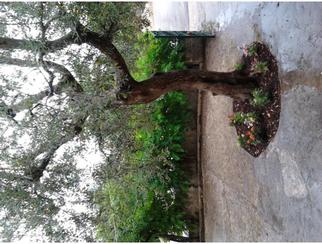 Anteprima foto 7 - Affitto Villa Vacanze da Privato a Monopoli - Impalata