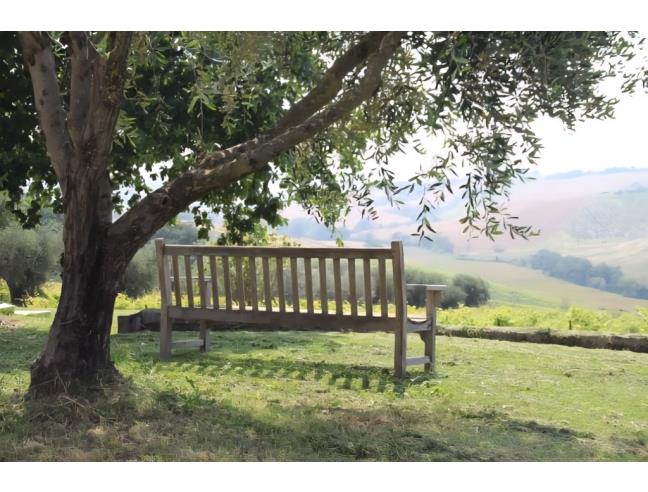 Anteprima foto 5 - Affitto Villa Vacanze da Privato a Morro d'Alba - Santa Maria Del Fiore