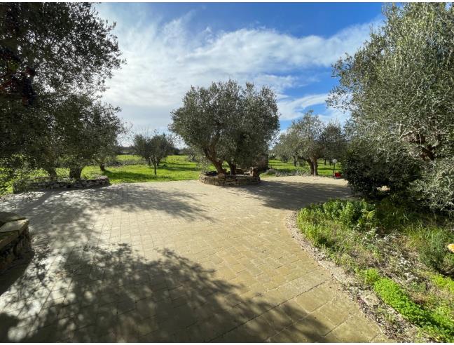 Anteprima foto 8 - Affitto Villa Vacanze da Privato a Nardò (Lecce)