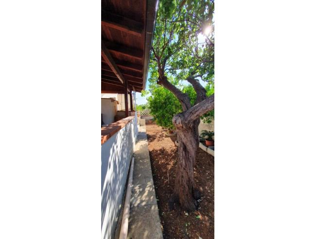 Anteprima foto 7 - Affitto Villa Vacanze da Privato a Nardò - Santa Maria Al Bagno