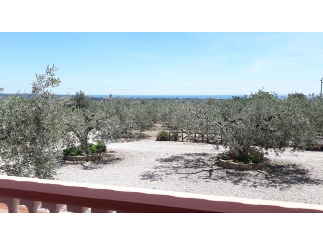 Anteprima foto 4 - Affitto Villa Vacanze da Privato a Orosei (Nuoro)