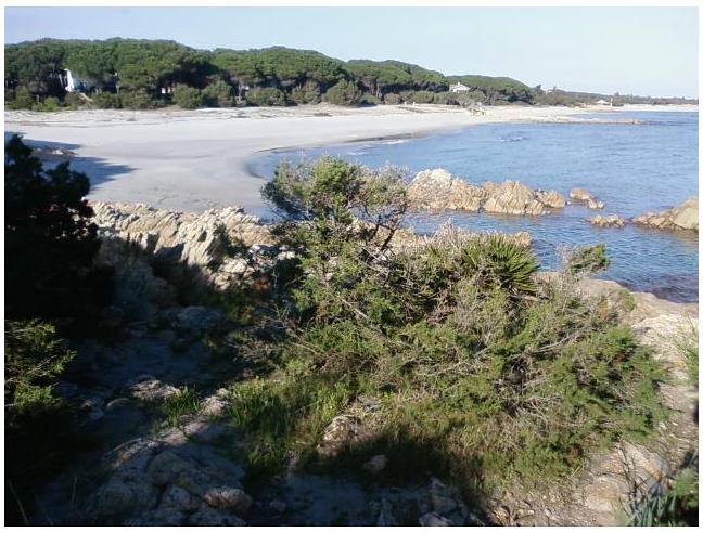 Anteprima foto 8 - Affitto Villa Vacanze da Privato a Orosei - Sos Alinos