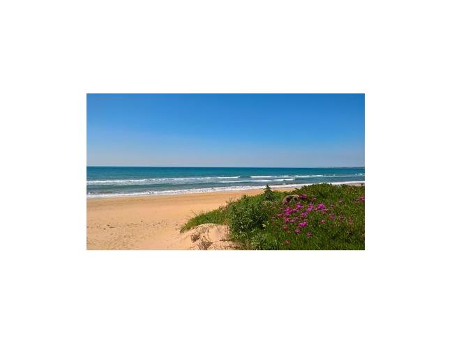 Anteprima foto 2 - Affitto Villa Vacanze da Privato a Pachino (Siracusa)