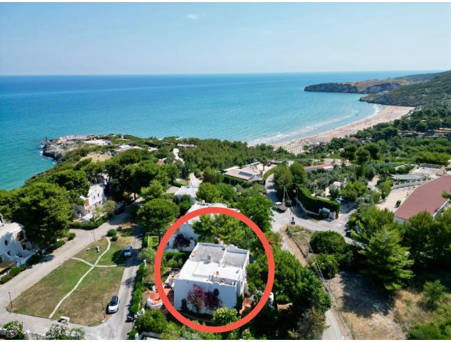 Anteprima foto 8 - Affitto Villa Vacanze da Privato a Peschici (Foggia)