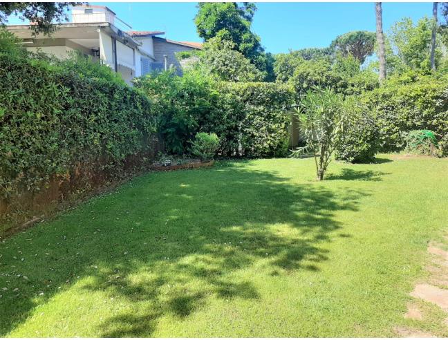 Anteprima foto 2 - Affitto Villa Vacanze da Privato a Pietrasanta - Marina Di Pietrasanta