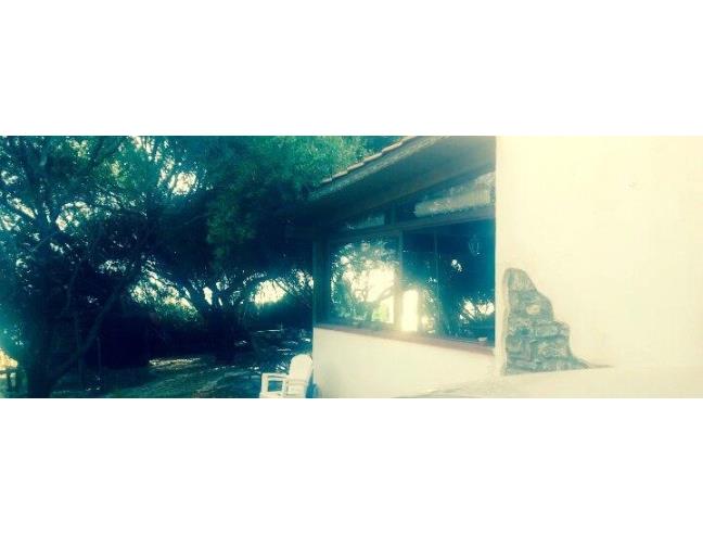 Anteprima foto 2 - Affitto Villa Vacanze da Privato a Pisciotta - Caprioli