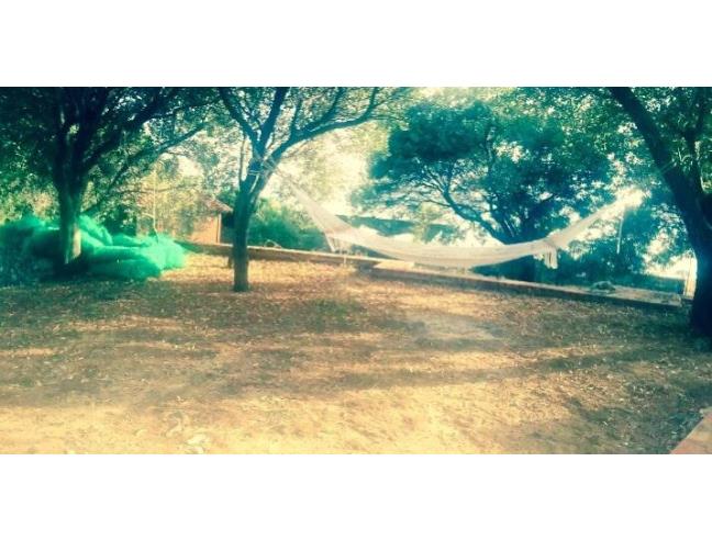 Anteprima foto 3 - Affitto Villa Vacanze da Privato a Pisciotta - Caprioli