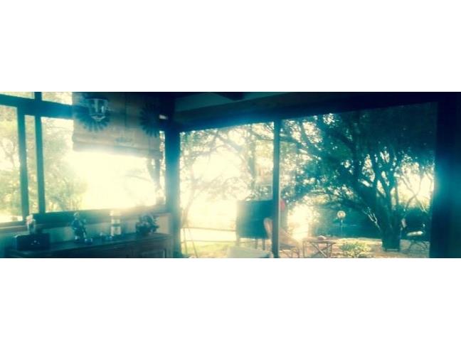 Anteprima foto 6 - Affitto Villa Vacanze da Privato a Pisciotta - Caprioli