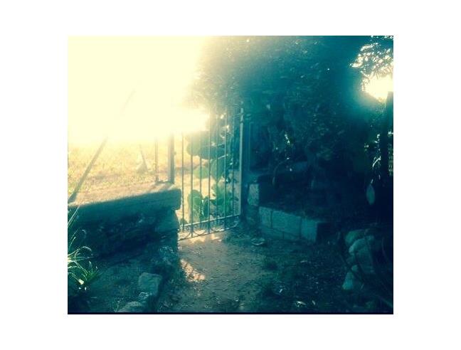 Anteprima foto 7 - Affitto Villa Vacanze da Privato a Pisciotta - Caprioli