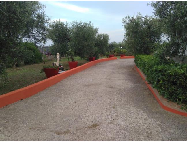 Anteprima foto 3 - Affitto Villa Vacanze da Privato a Pisticci - Tinchi