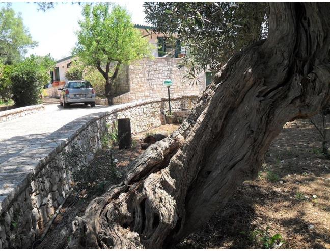 Anteprima foto 1 - Affitto Villa Vacanze da Privato a Polignano a Mare - Casello Cavuzzi