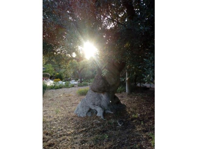 Anteprima foto 8 - Affitto Villa Vacanze da Privato a Polignano a Mare - Casello Cavuzzi