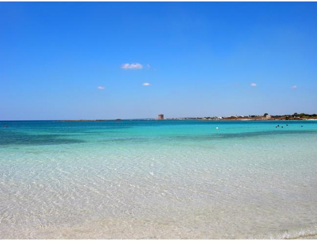 Anteprima foto 1 - Affitto Villa Vacanze da Privato a Porto Cesareo - Torre Lapillo