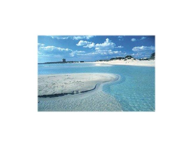 Anteprima foto 6 - Affitto Villa Vacanze da Privato a Porto Cesareo - Torre Lapillo