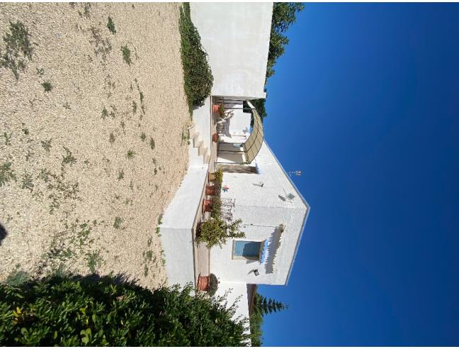 Anteprima foto 7 - Affitto Villa Vacanze da Privato a Porto Cesareo - Torre Lapillo