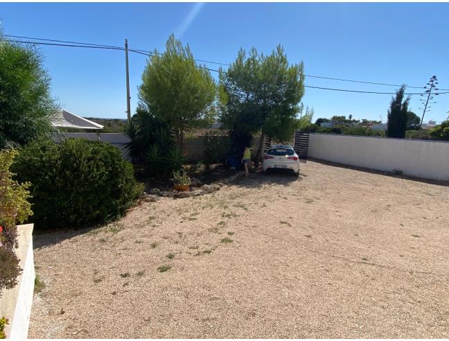 Anteprima foto 7 - Affitto Villa Vacanze da Privato a Porto Cesareo - Torre Lapillo