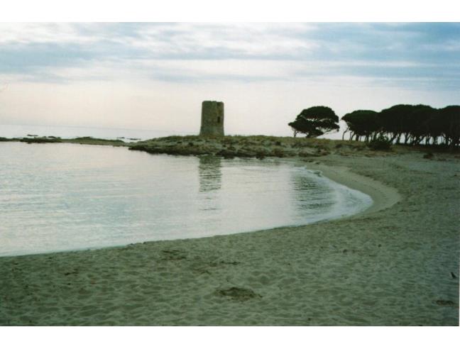 Anteprima foto 1 - Affitto Villa Vacanze da Privato a Posada - San Giovanni